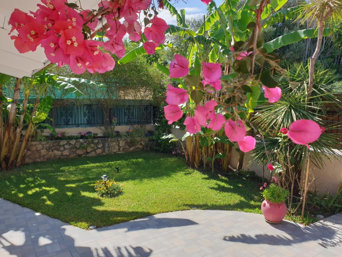 Aloe House Lakithra Villa Kültér fotó